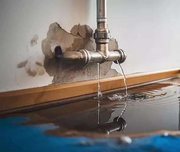Professional Water Damage Restoration Experts in Greenfield, IN — Fast, Reliable & Certified